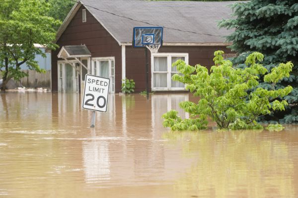 Storm Restoration Service in Windsor