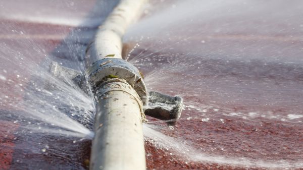 Burst Pipe Cleanup in Windsor