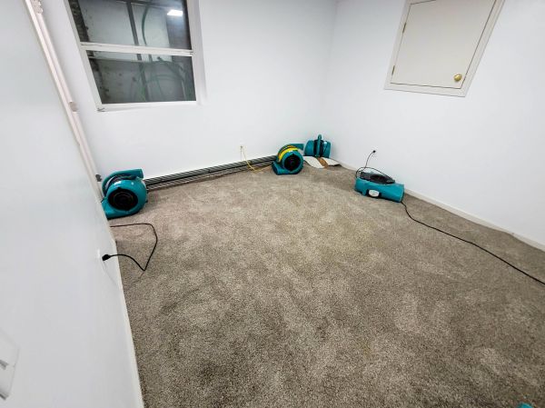 Flood Restoration Service in Windsor