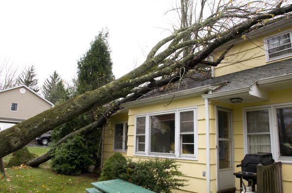 Hurricane Damage Repair in Windsor