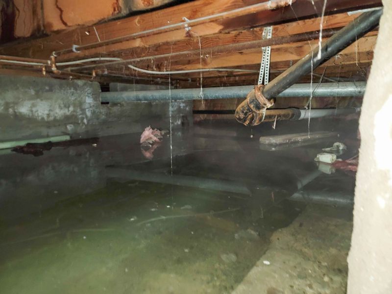 Flooded Basement Cleanup detail